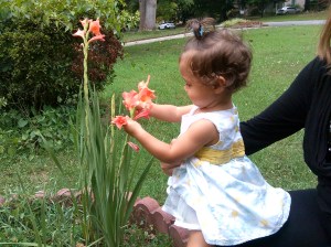 2015-07-19 bella and flower gladiolis
