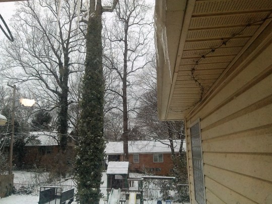 window - bathroom icesicles