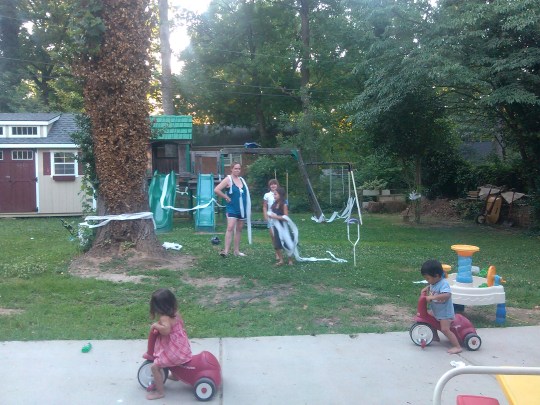 upside down TP toilet paper