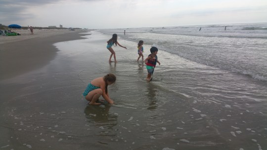 20170413_4 earthquakers sea ocean beach